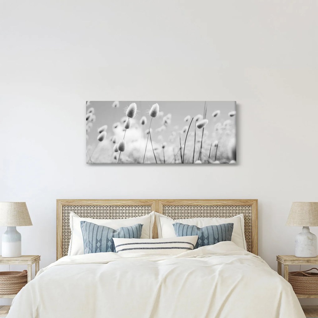 Obraz - Boho bunny tail grass (120x50 cm)