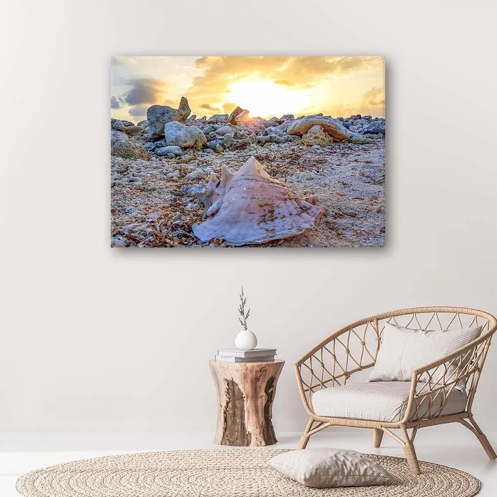 Gario Obraz na plátne Mušle a kamene Rozmery: 60 x 40 cm