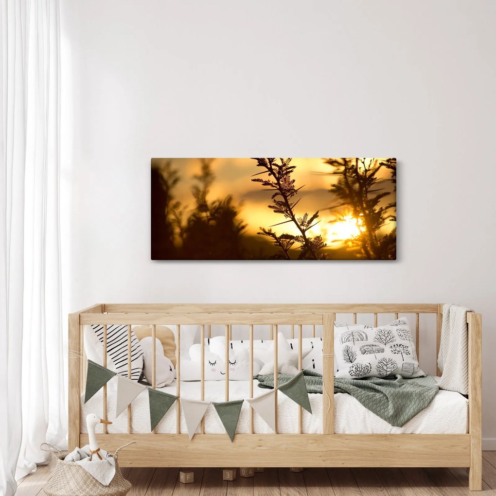 Obraz - Slnko zapadajúce za stromami (120x50 cm)