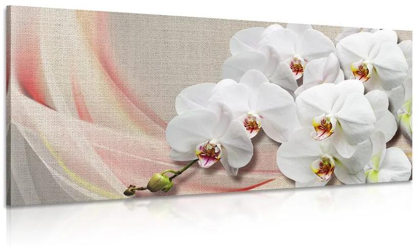 Obraz biela orchidea na plátne Varianta: 120x60