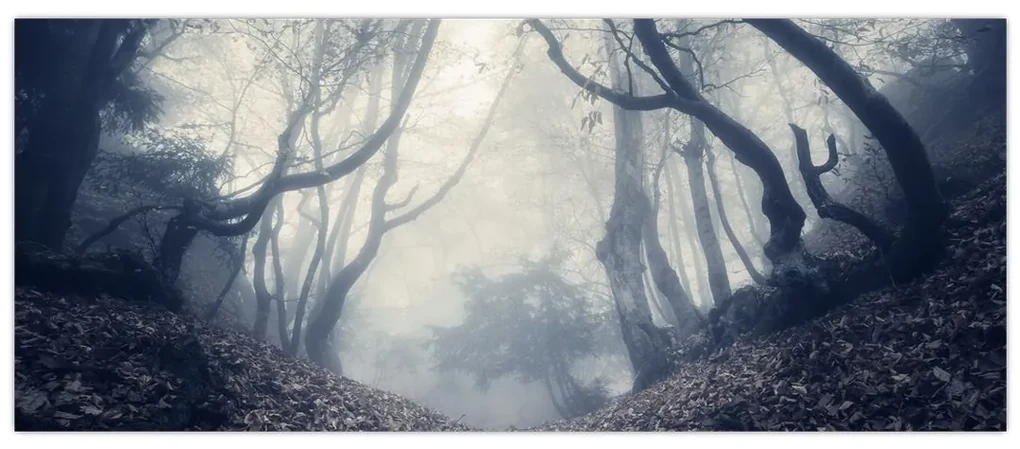 Obraz - Les v hmle (120x50 cm)