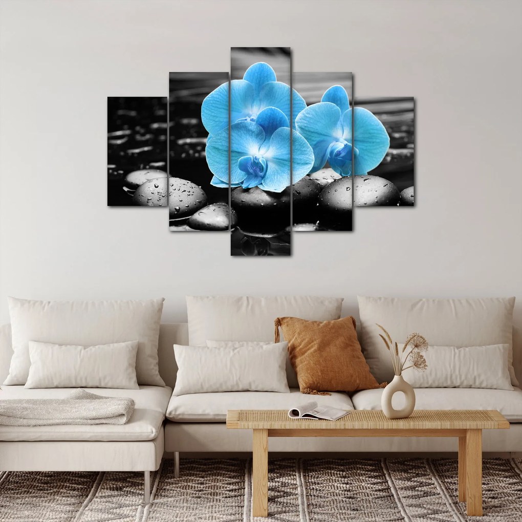 Obraz - Modrá orchidea (150x105 cm)