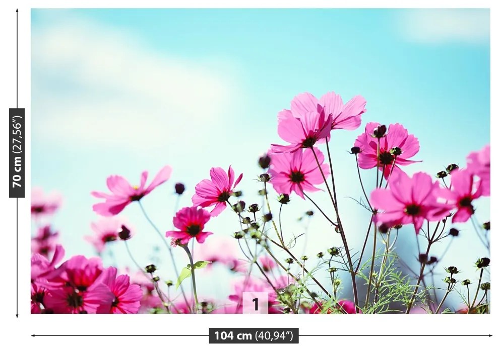 Fototapeta Vliesová Neba kvetina 312x219 cm