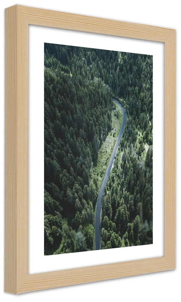 Gario Plagát Cesta v lese Farba rámu: Bez rámu, Rozmery: 40 x 60 cm