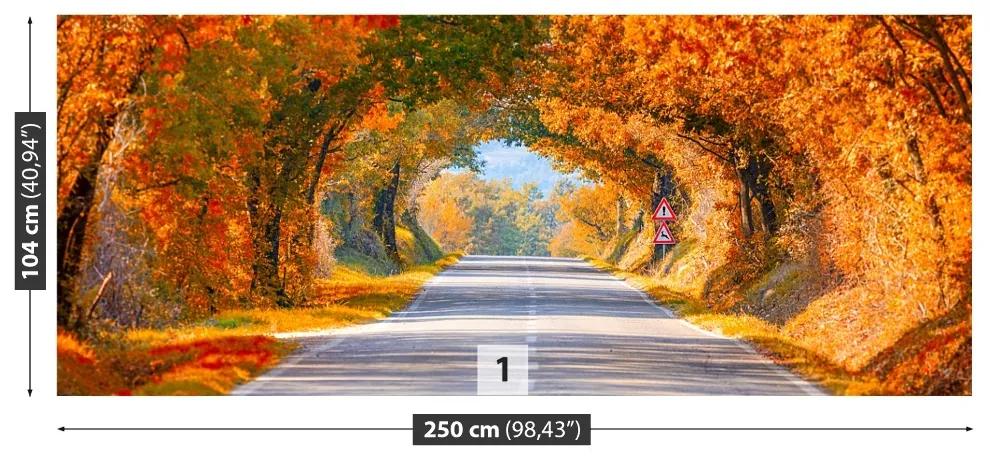 Fototapeta Vliesová Cesty na jeseň 152x104 cm