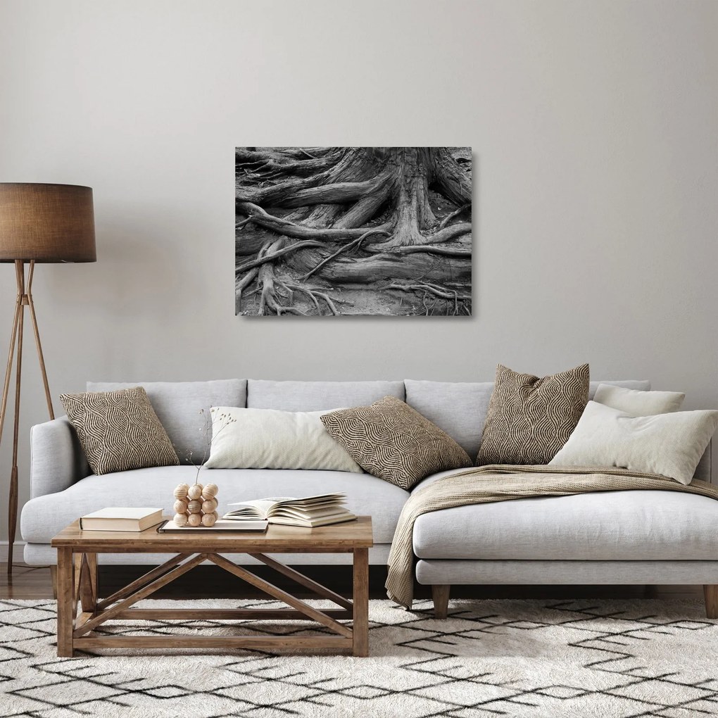 Sklenený obraz - Korene stromu (70x50 cm)
