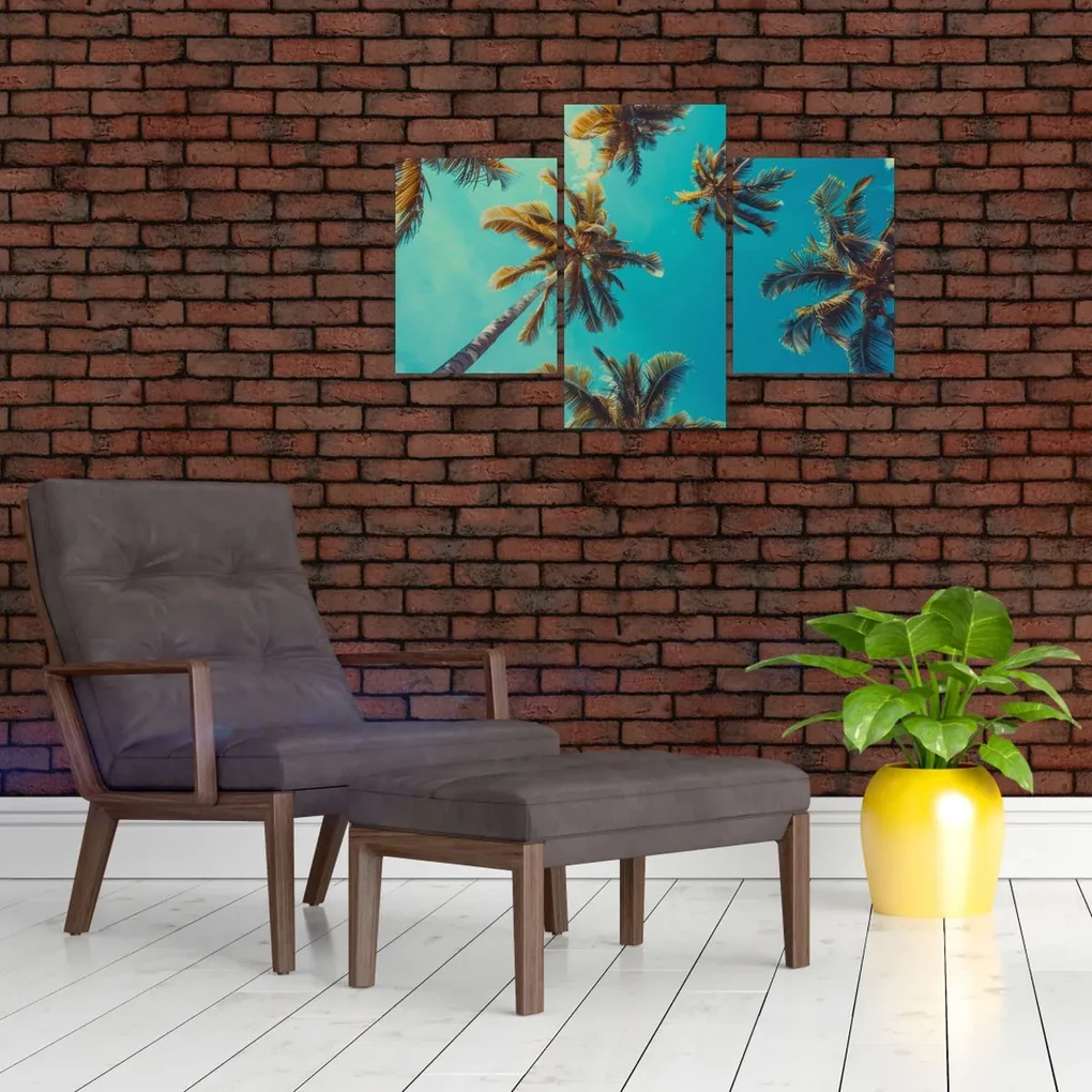 Obraz - Vysoké palmy (90x60 cm)