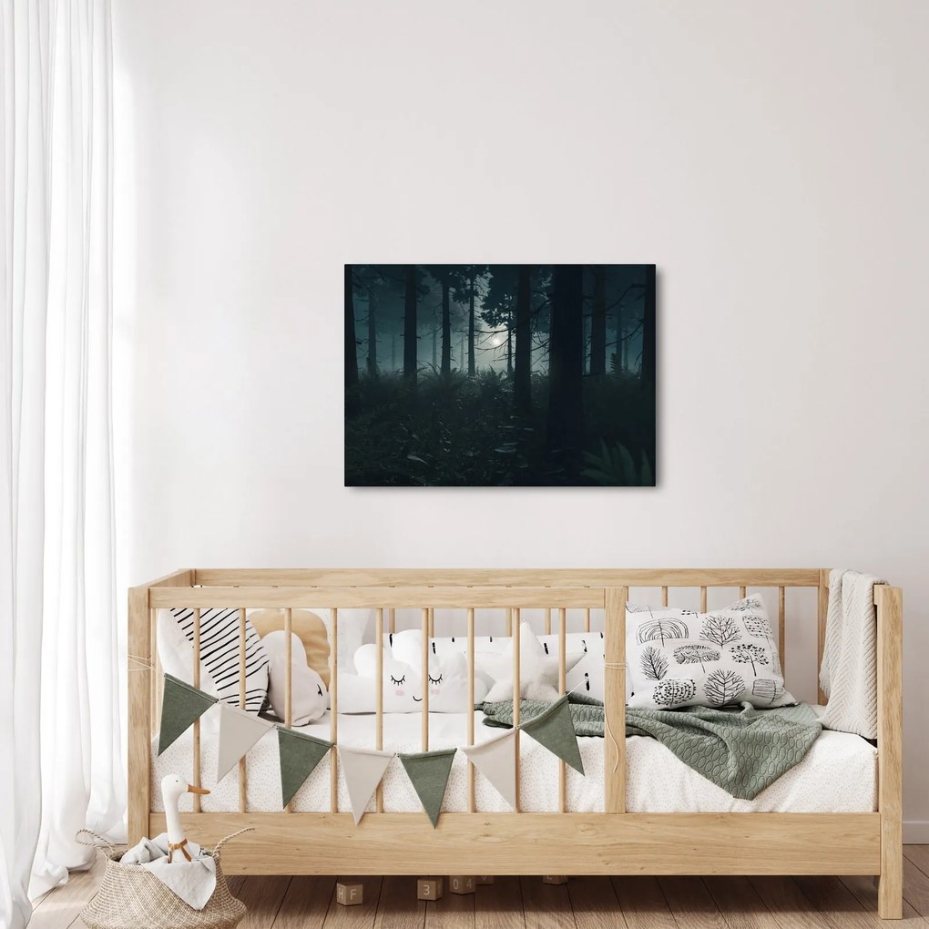 Obraz - Paprade v mesačnom svite (70x50 cm)