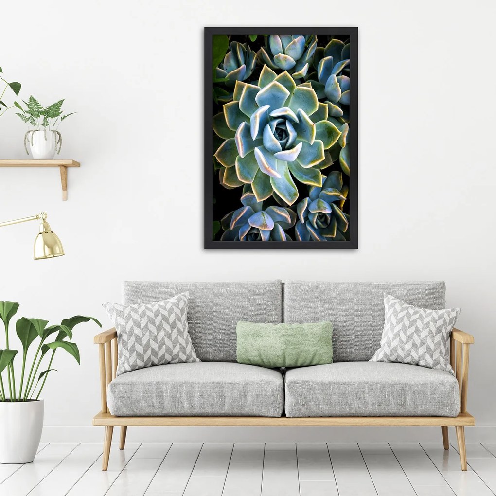 Gario Plagát Sukulentné so žltými okrajmi Farba rámu: Bez rámu, Rozmery: 30 x 45 cm