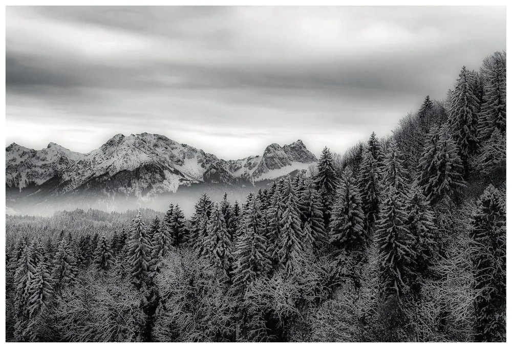 Samolepiaca fototapeta čiernobiele zamrznuté hory