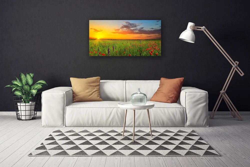 Obraz Canvas Slnko lúka kvety príroda 120x60 cm