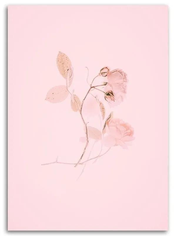 Obraz na plátně Květinový minimalismus Příroda Růžová - 60x90 cm