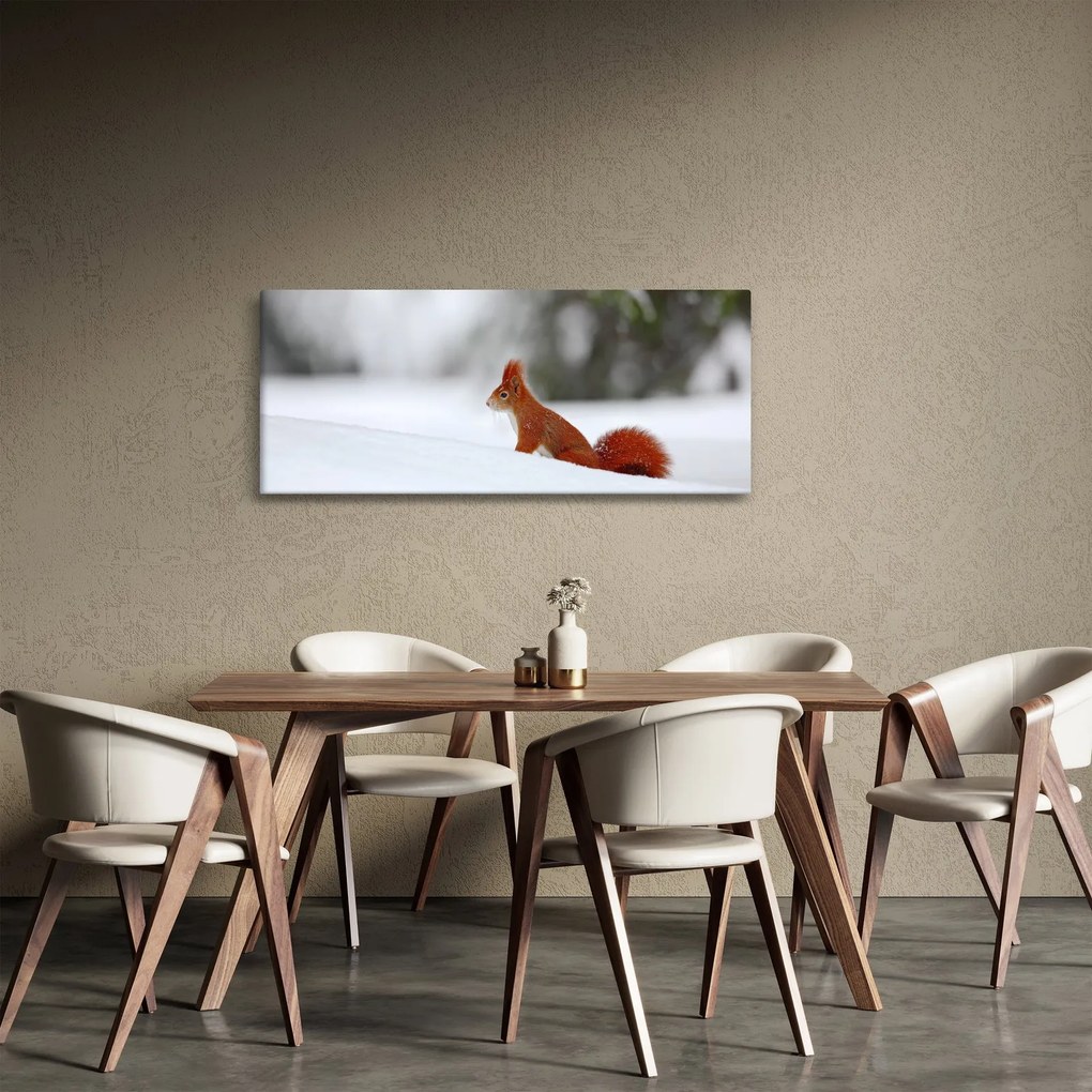 Obraz veveričky (120x50 cm)