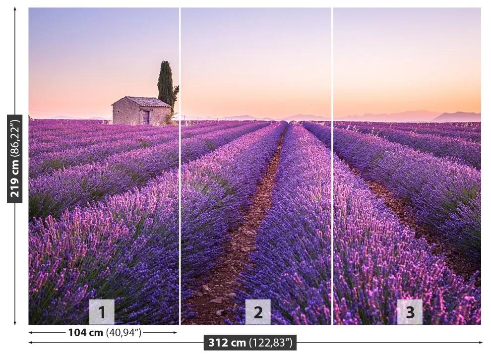 Fototapeta Vliesová Provence levandule 250x104 cm