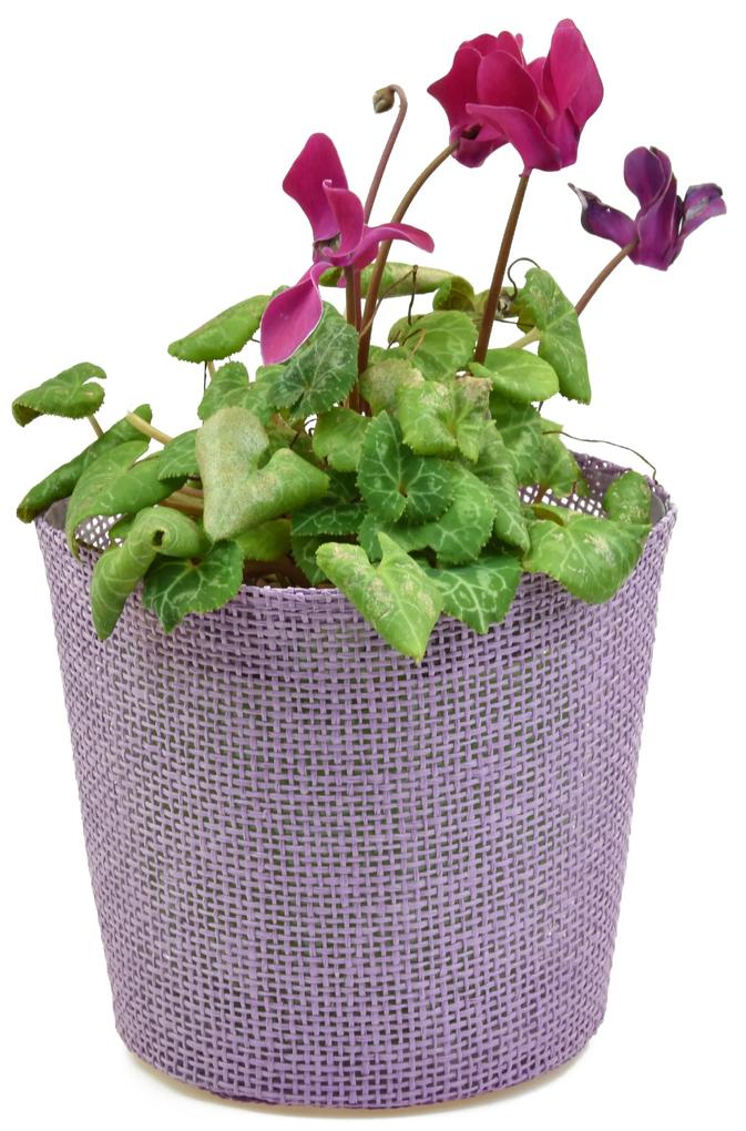 Květináč fialový s igelitovou vložkou - 15 x 13 cm