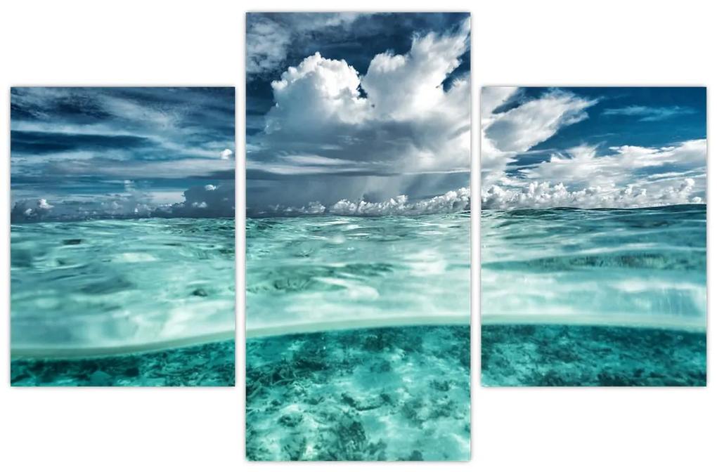 Obraz - Pohľad pod morskú hladinu (90x60 cm)