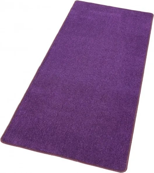 DOPREDAJ: 80x300 cm Kusový koberec Fancy 103005 Lila - fialový, 80x300, fialová, obývacia izba, Hanse Home