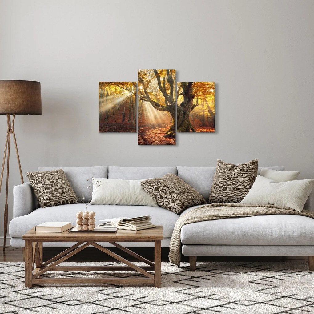 Obraz - Jesenný svit (90x60 cm)