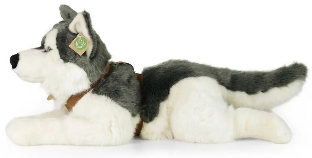 Rappa Plyšový husky s postrojem 60 cm ECO -FRIENDLY