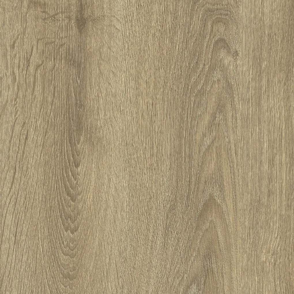 IVC Commercial, PVC podlaha - lino Logitex Ultimate 55 Elias T47, na mieru, šíře 2m,4m, hnedá, filc, chodba / predsieň