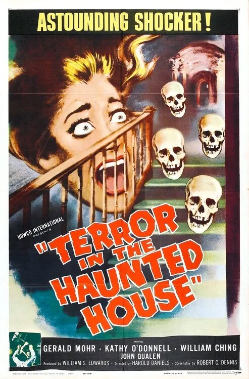 Ilustrácia Terror In Haunted House