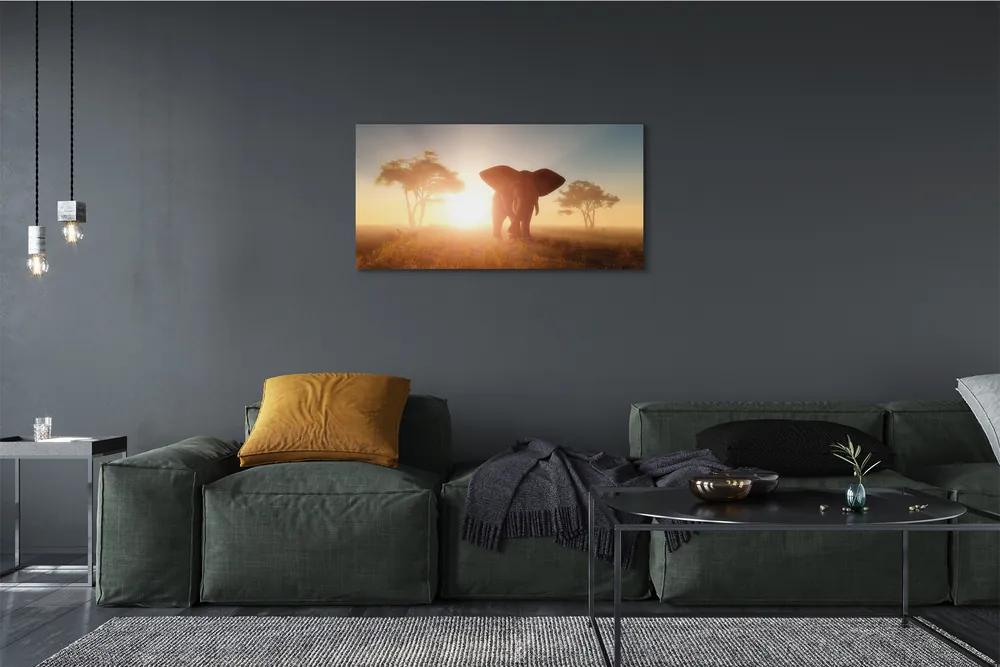 Obraz canvas Sloní strom na východ 120x60 cm