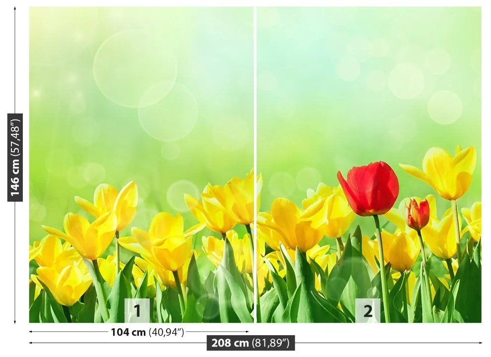 Fototapeta Vliesová Žlté tulipány 104x70 cm