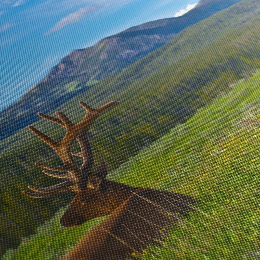 Obraz - Jeleň v lúke (120x50 cm)