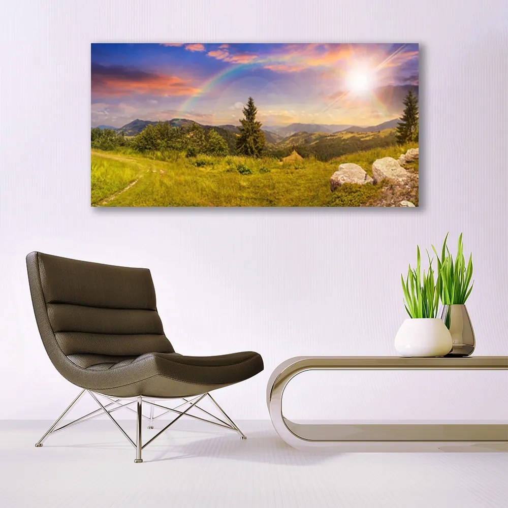 Obraz plexi Hory lúka kamene príroda 120x60 cm