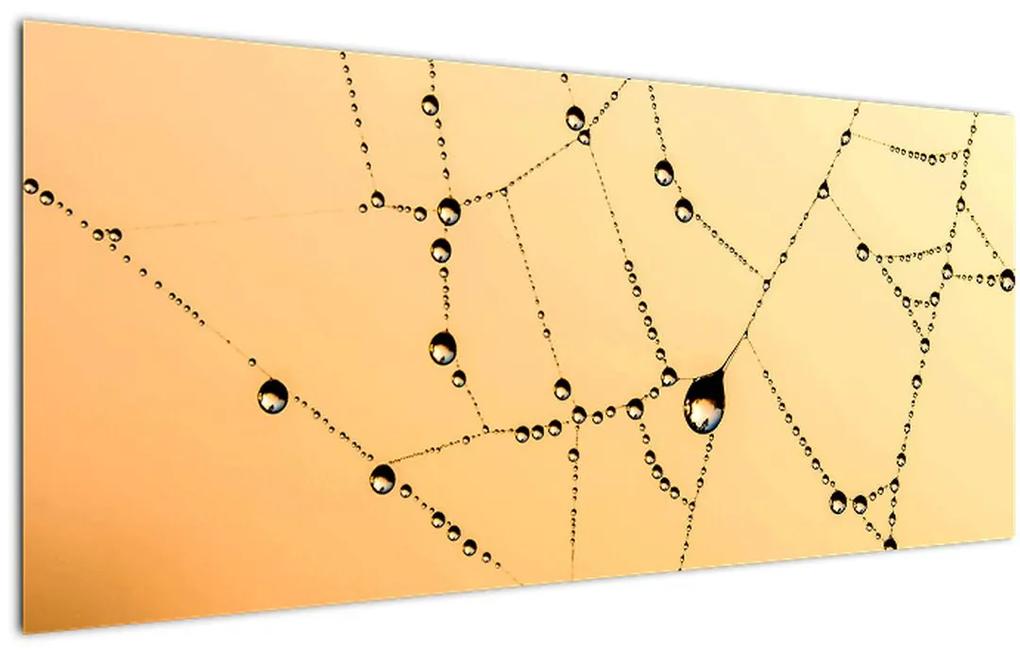 Obraz orosenej pavučiny (120x50 cm)