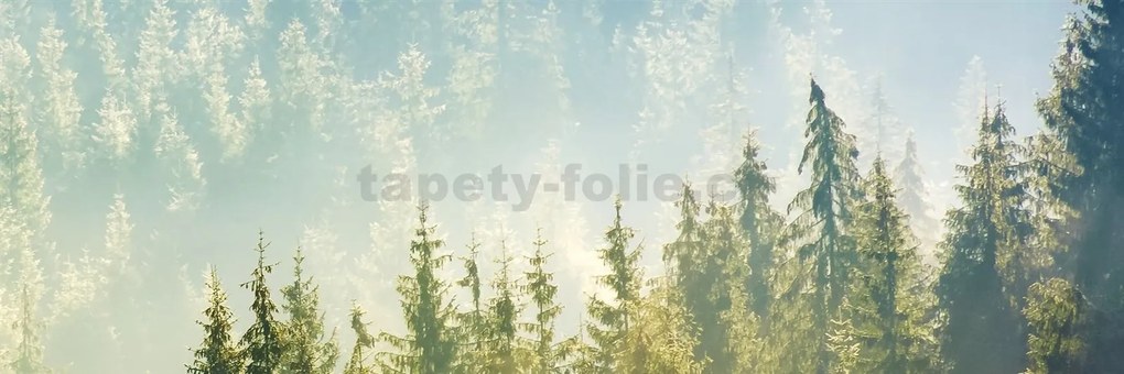 Samolepiace tapety za kuchynskú linku, rozmer 180 cm x 60 cm, hmla nad lesom, DIMEX KI-180-141