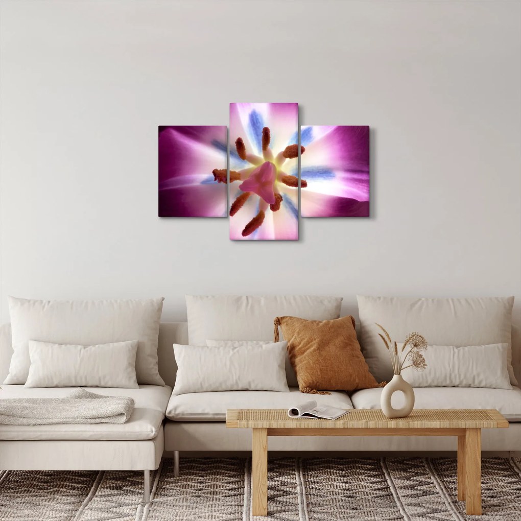 Obraz - Kvet tulipánu v detailu (90x60 cm)