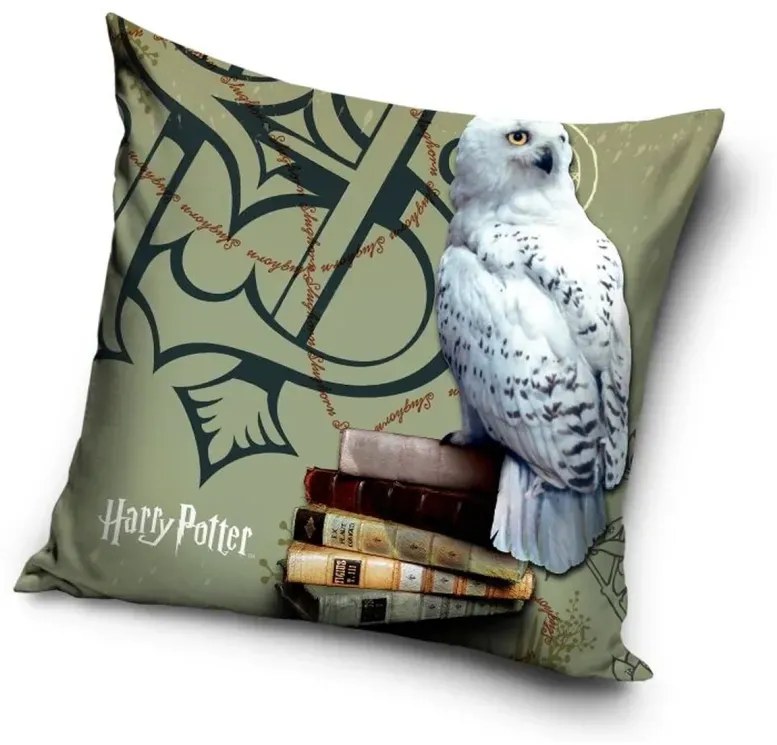 Detská velúrová obliečka na vankúš Harry Potter Šírka: 40 cm | Dĺžka: 40 cm