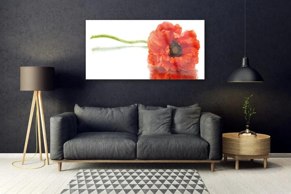 Obraz plexi Kvety príroda 120x60 cm
