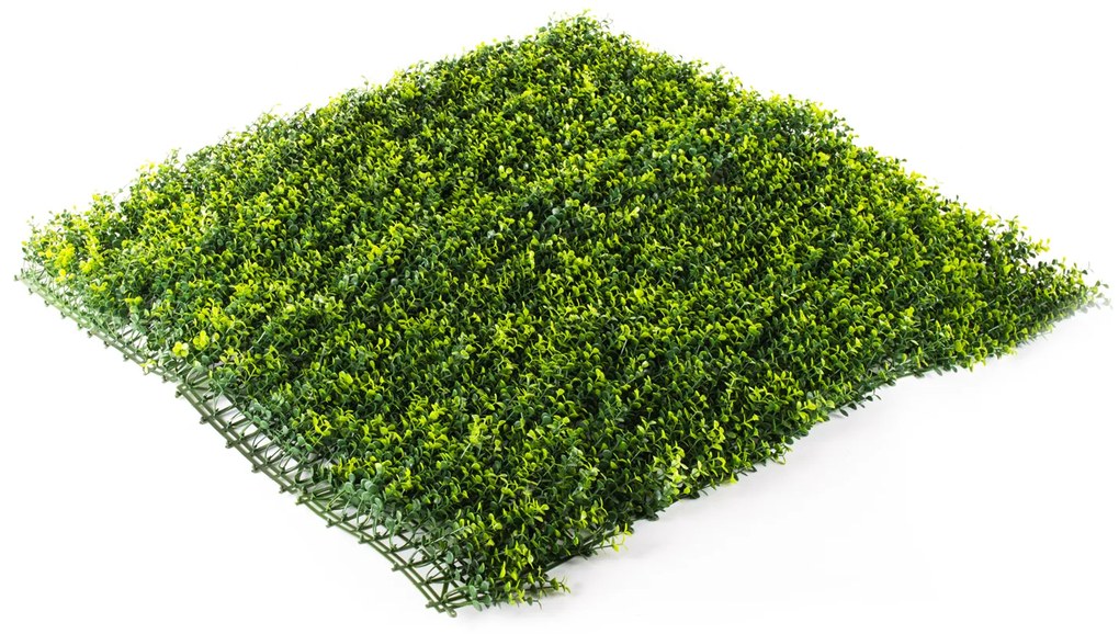 Umelý živý plot Hawaj Buxus High žltý | stena 100 x 100 cm