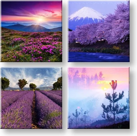 Obraz na stenu Everywhere purple