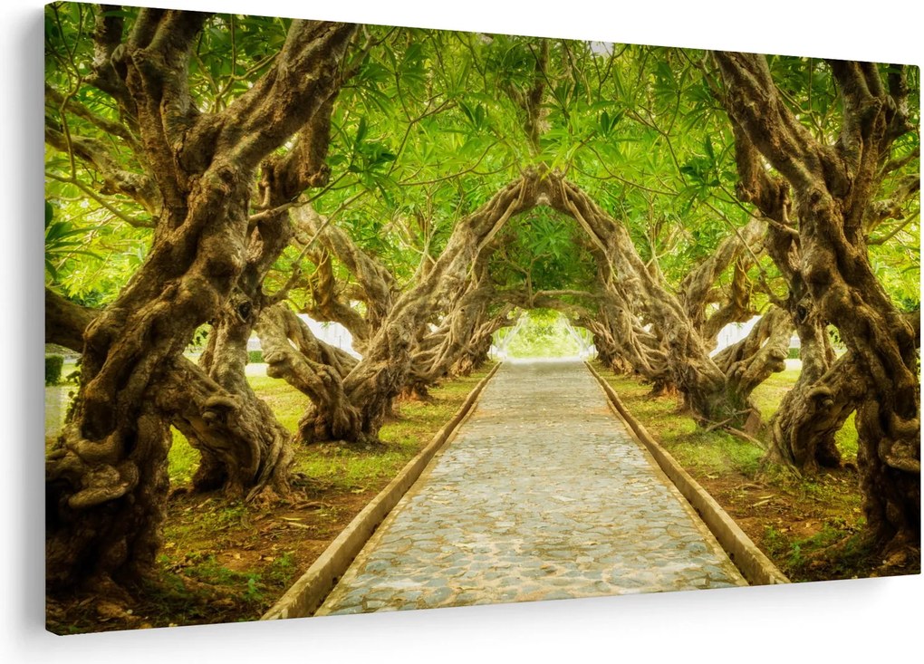 Obraz - Živý tunel z plumérií (90x60 cm)