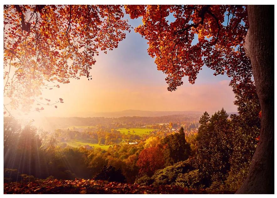 Artgeist Fototapeta - Autumn Delight Veľkosť: 150x105, Verzia: Standard