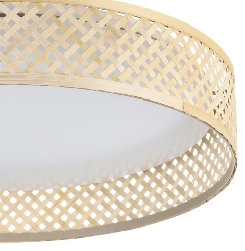 Eglo 900464 - LED Stropné svietidlo LUPPINERIA LED/24W/230V