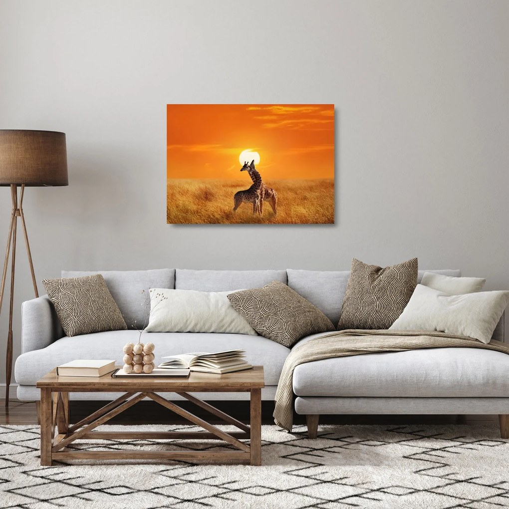 Sklenený obraz - Žirafy v národnom parku Serengeti (70x50 cm)