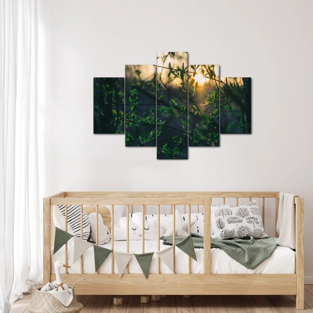 Obraz presvitajúceho slnka cez vetvičky stromov (150x105 cm)