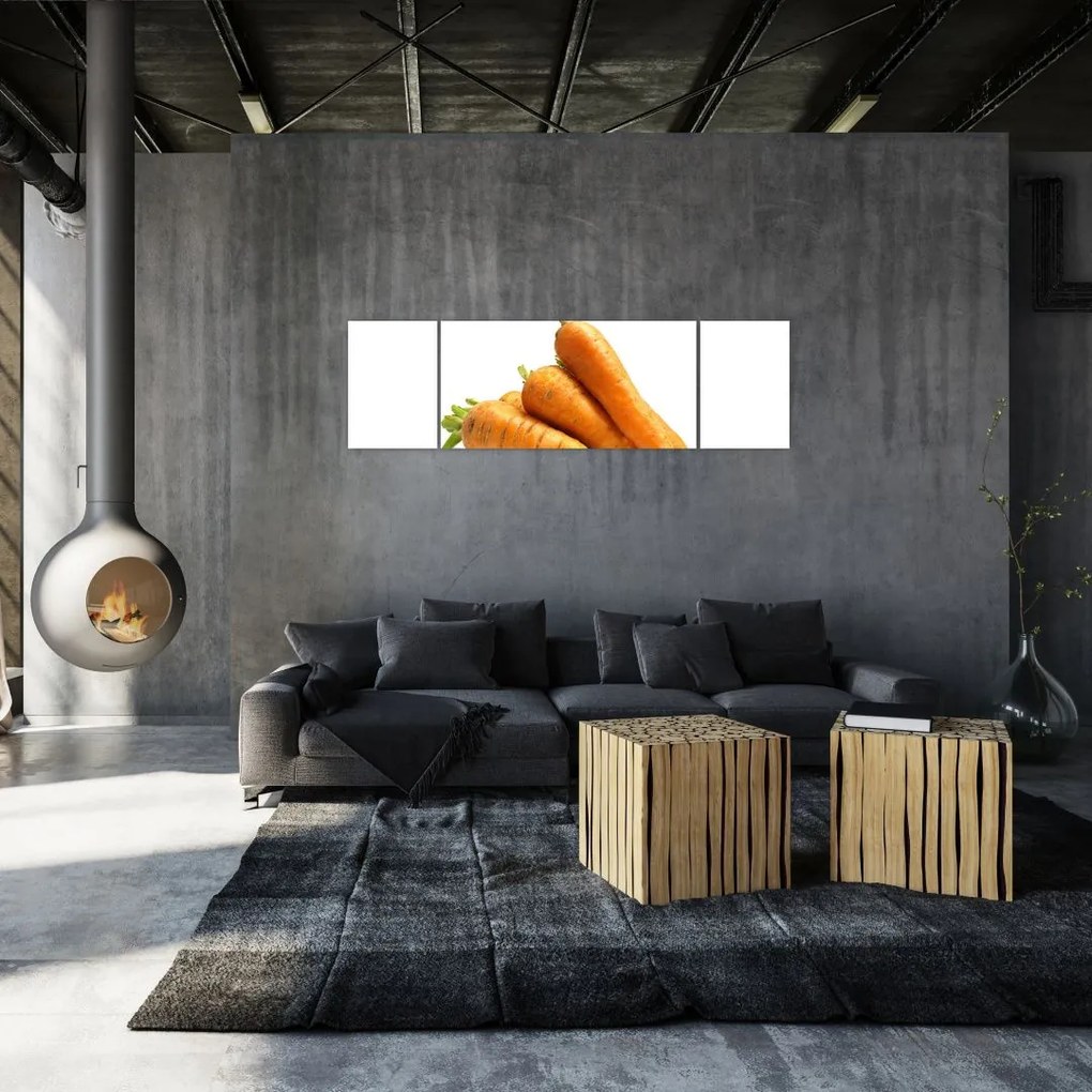 Obraz mrkvy
