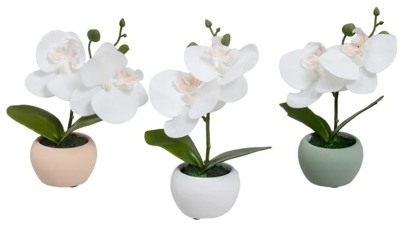 Umelé rastliny v súprave 3 ks (výška 15 cm) Orchid – Casa Selección