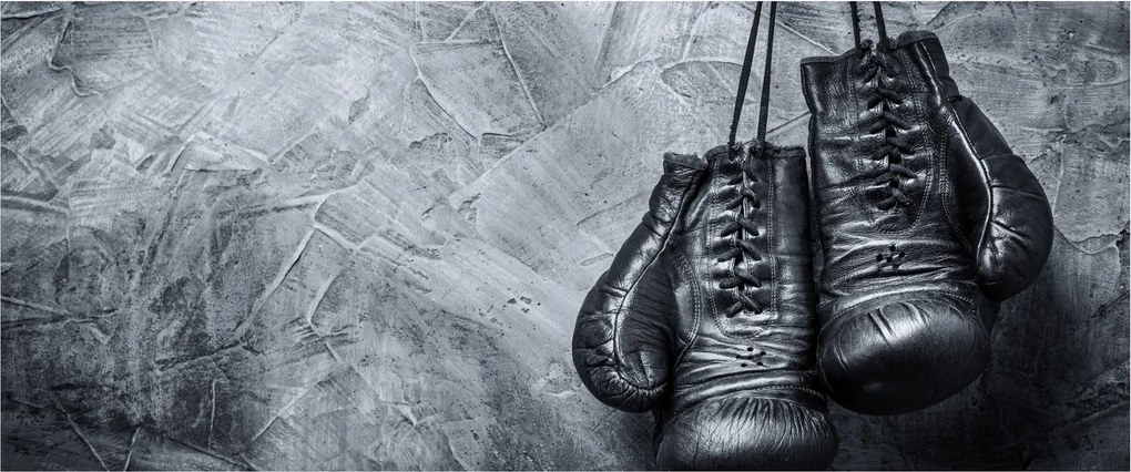 Obraz - Boxerské rukavice (120x50 cm)