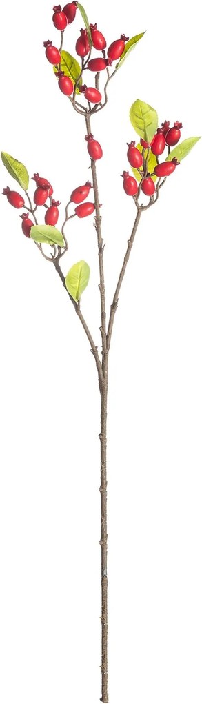 Dekorácia z divokej ruže 70cm red