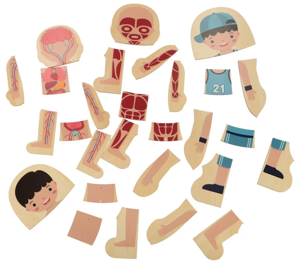 KIK Drevené Montessori vrstvené anatomické puzzle Ľudské telo 28 dielikov – vzdelávacie