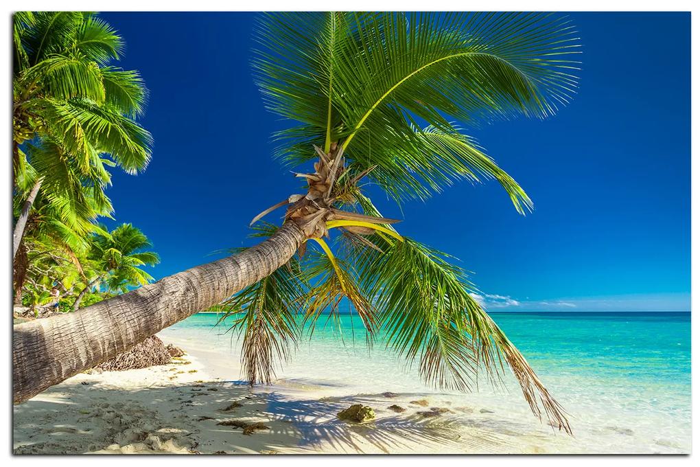 Obraz na plátne - Pláž s palmami  184A (90x60 cm  )