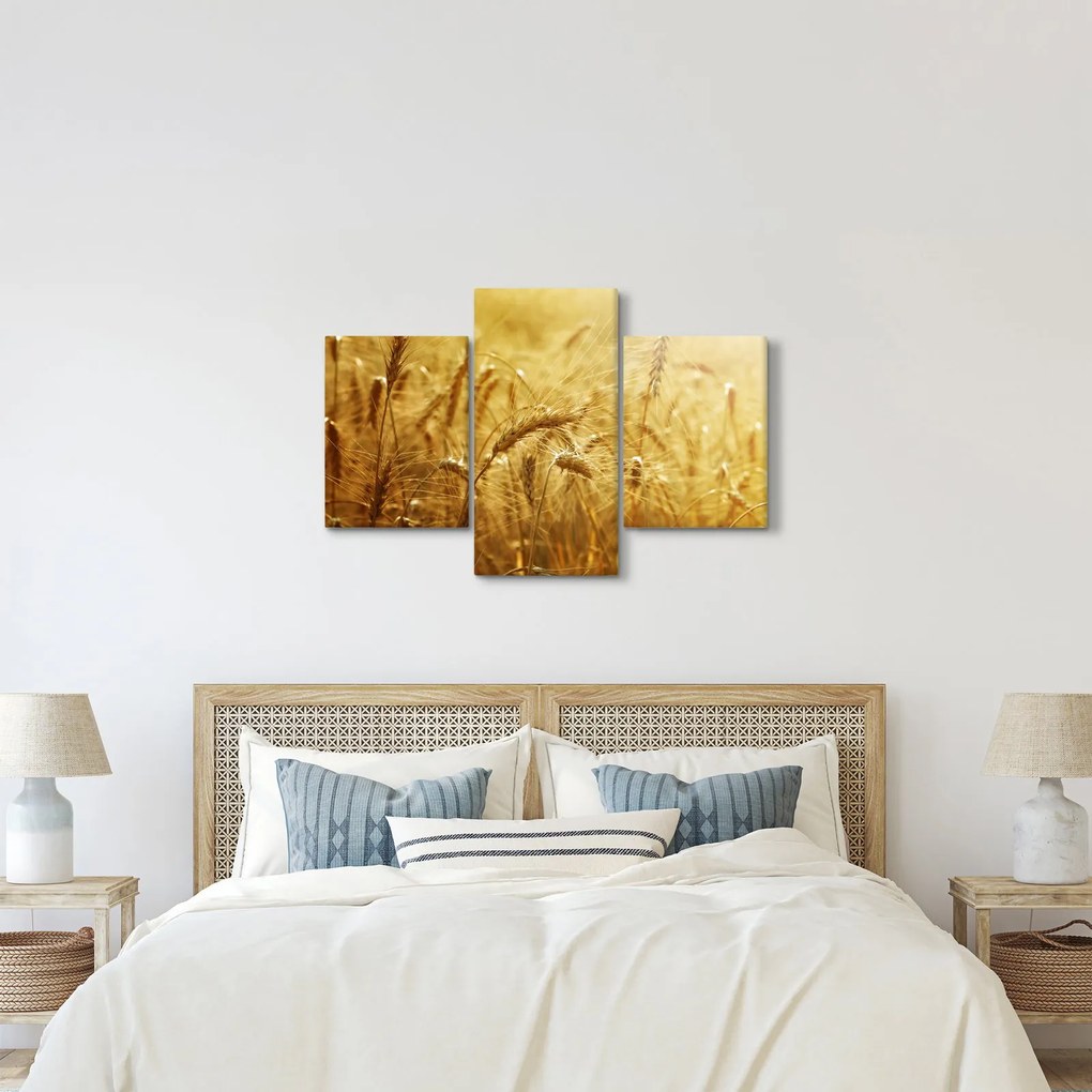 Obraz - Klasy obilia (90x60 cm)