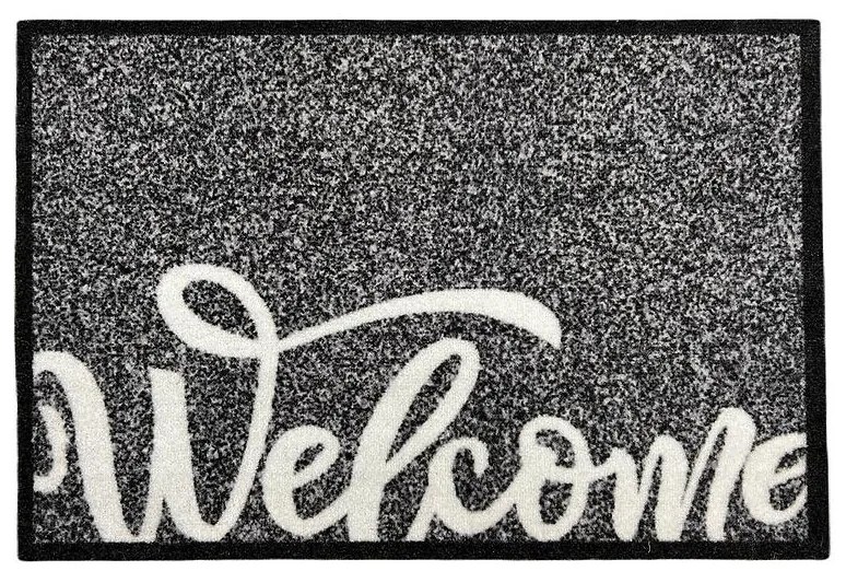 Rohožka 40x60 welcome 36 04060019