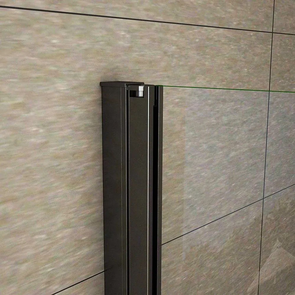 D‘Eluxe - SPRCHOVÉ DVERE - Sprchové dvere DOUBLE OS1X 0-100xcm sprchové dvere pivotové dvojkrídlové číre 8 čierna univerzálna - ľavá/pravá 80 200 80x200 64.4